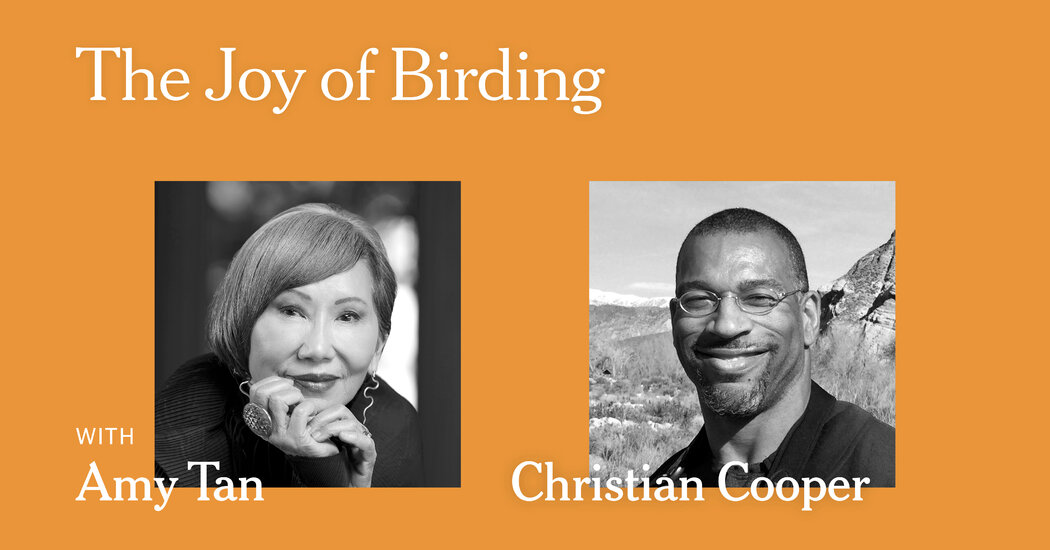 Christian Cooper et Amy Tan expliquent comment l'observation des oiseaux leur apporte de la joie : un événement en direct