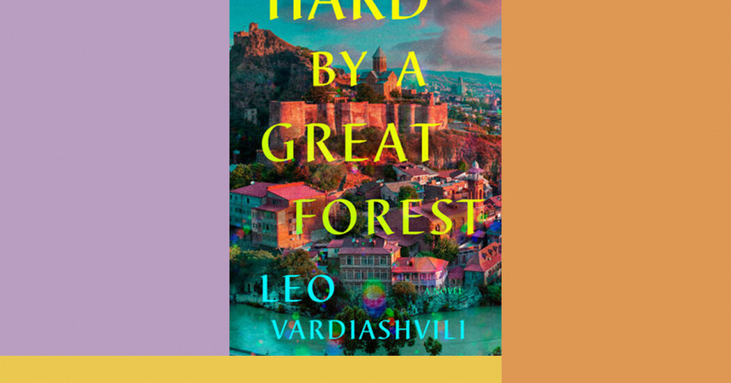 Critique de livre : « Difficile près d'une grande forêt », de Leo Vardiashvili
