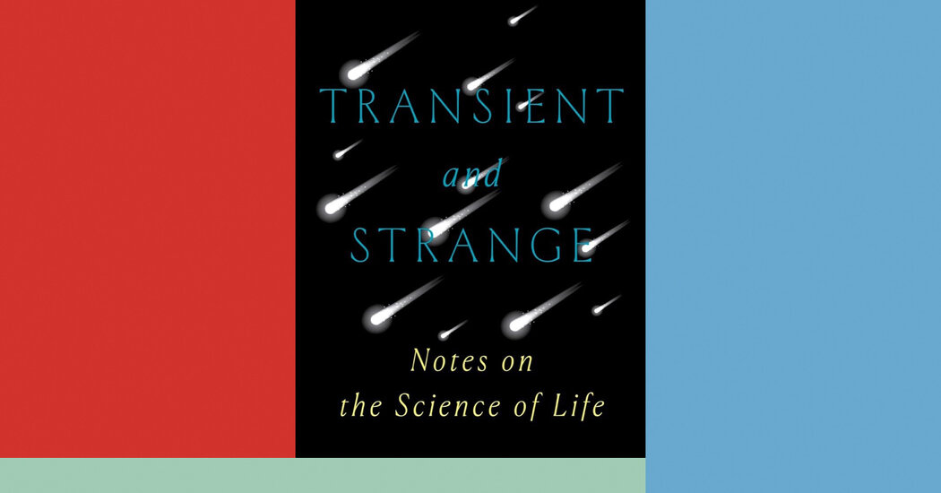 Critique de livre : « Transitoire et étrange », de Nell Greenfieldboyce