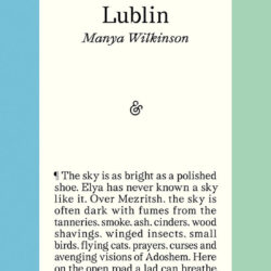 Critique de livre : « Lublin », de Manya Wilkinson