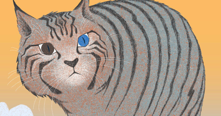 « Critique de livre : 'Le chat sauvage derrière la vitre', par Alki Zei.  Traduit par Karen Emmerich.