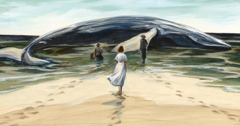 Critique de livre : « Whale Fall », d'Elizabeth O'Connor
