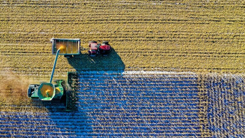 Que signifie être un écrivain de la classe ouvrière à l'atelier des écrivains de l'Iowa?