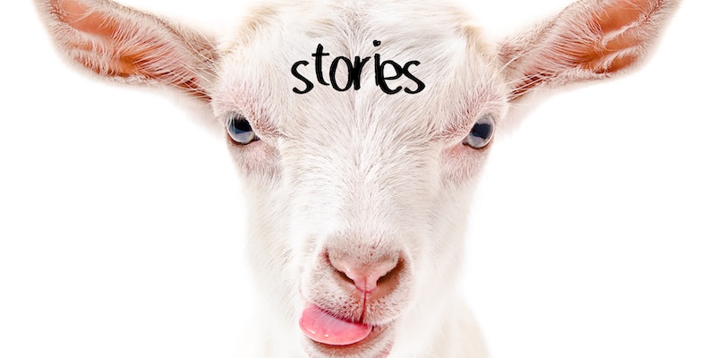 James Baldwin! Octavia Butler! Bois morts! 20 nouveaux livres aujourd'hui.