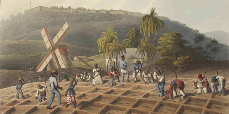 Pouvoir et punition: comment les colons ont légiféré les premiers esclaves en Amérique