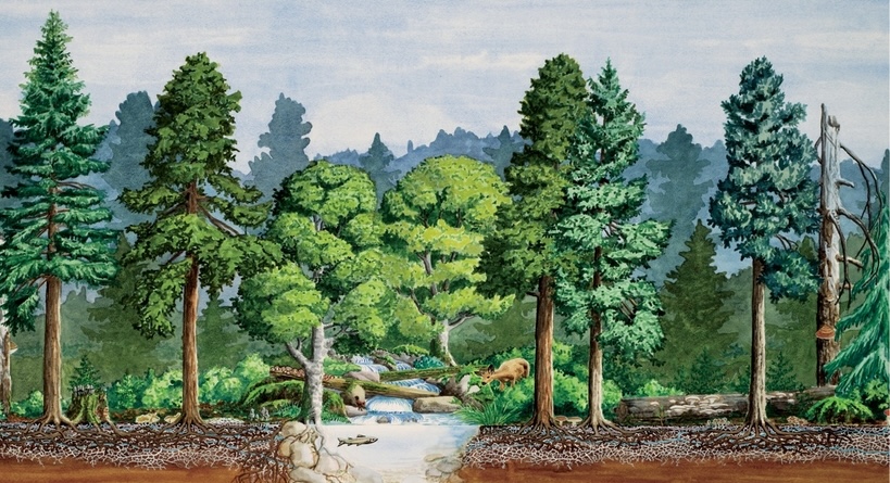 Les 10 meilleurs livres sur la permaculture