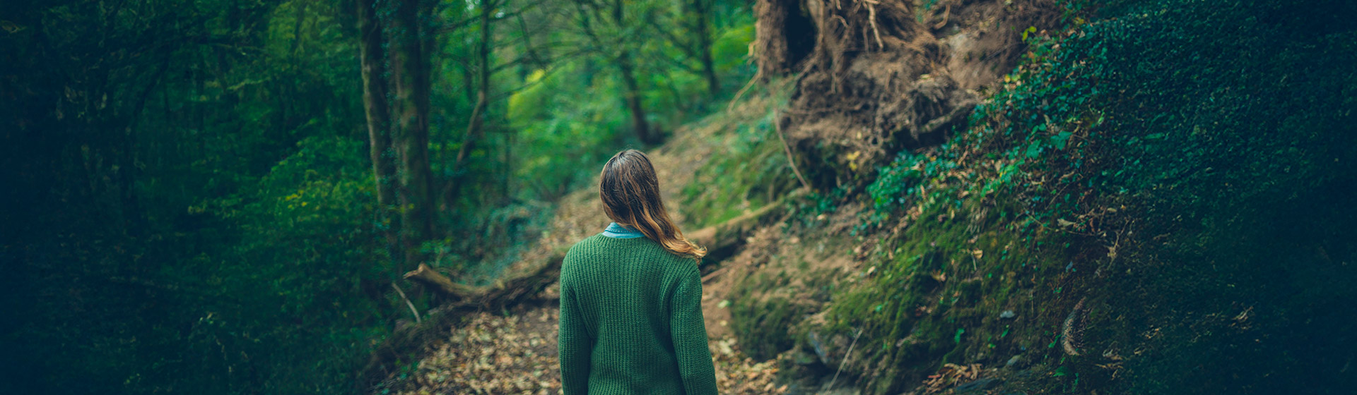 PlanetadeLibros, ir a la página de inicio