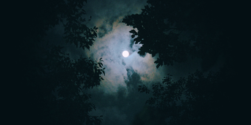 Un extrait de «All Souls», de Kevin Young