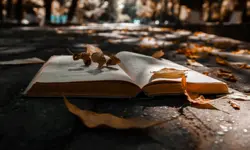 Article miniature: 7 livres de roman noir espagnol que vous devez lire cet automne