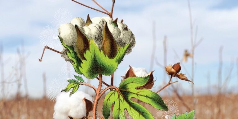Que devriez-vous lire ensuite ? Voici les livres les mieux évalués de la semaine
