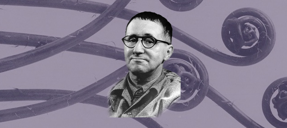 Lit Hub quotidiennement : 10 février 2026