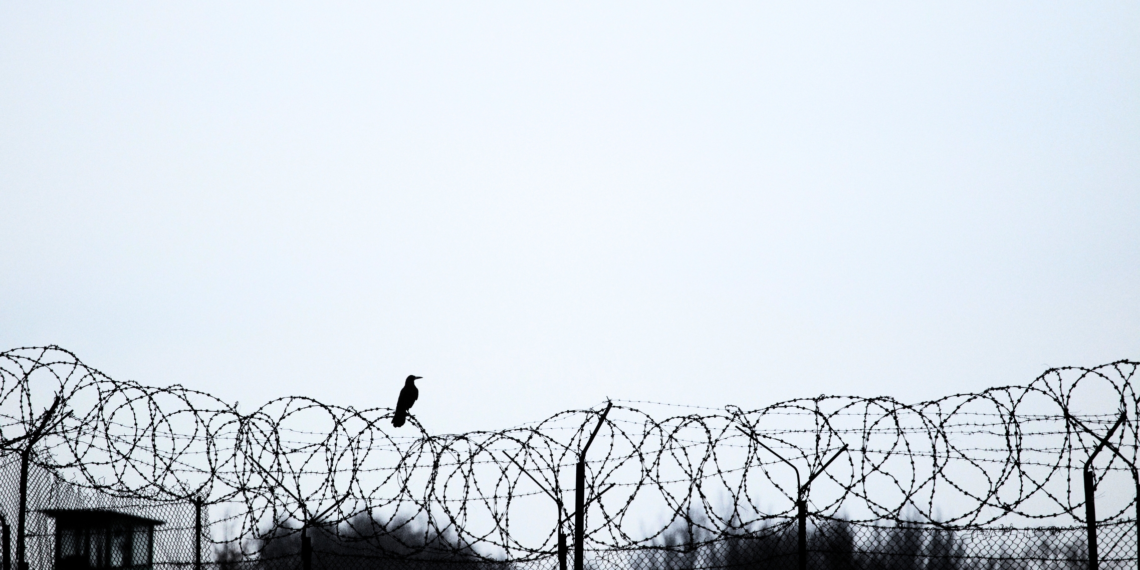 Lettre du Minnesota : comptez-les parmi les êtres chers