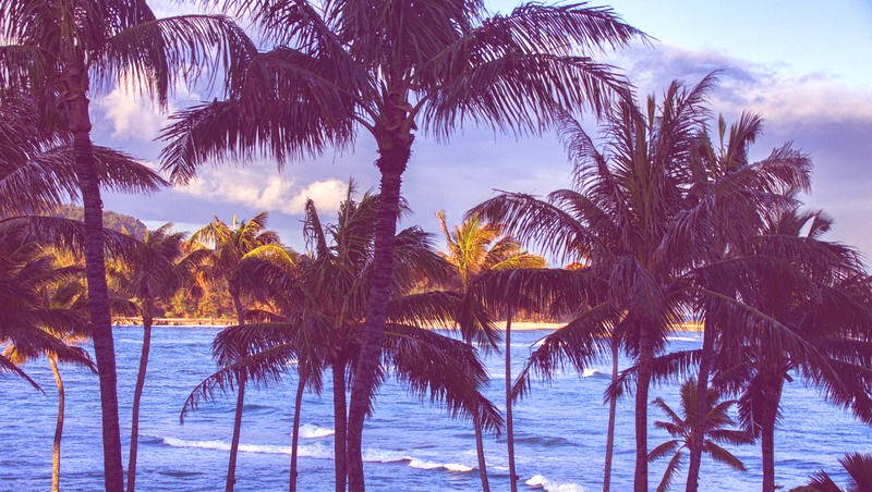 Nous sommes nos histoires : sur le patrimoine, la famille et l'importance de l'histoire orale