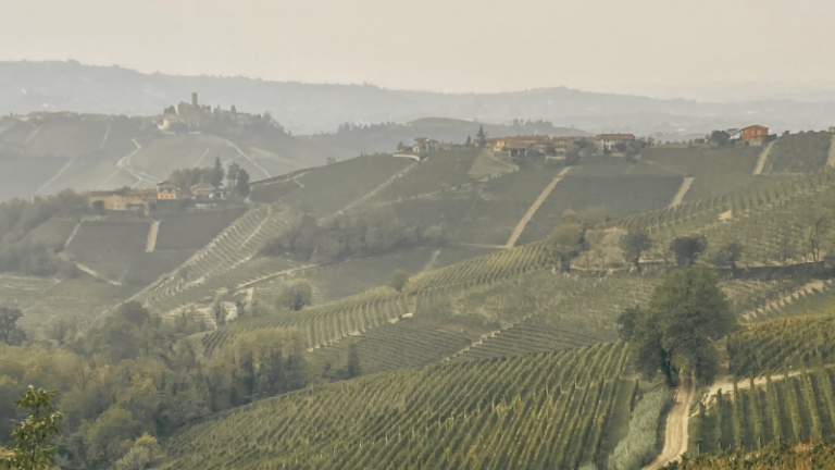 Lisez un passage du poème de Jonathan Galassi, The Vineyard
