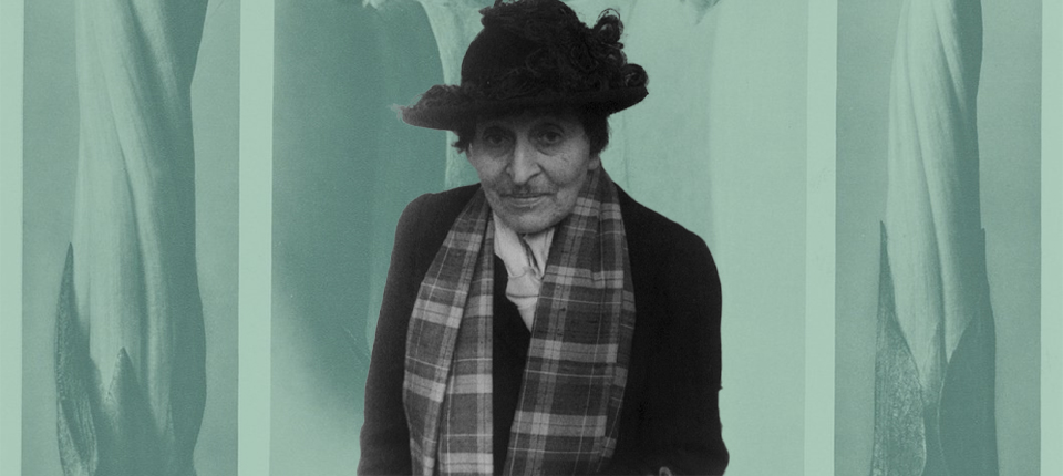 Lit Hub hebdomadaire : du 2 au 6 mars 2026