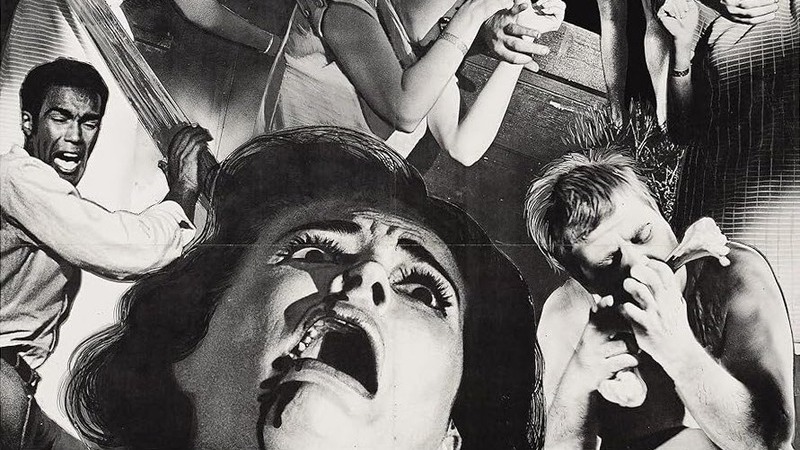 Quelle nuit des morts-vivants m'a appris sur le cinéma et la vie