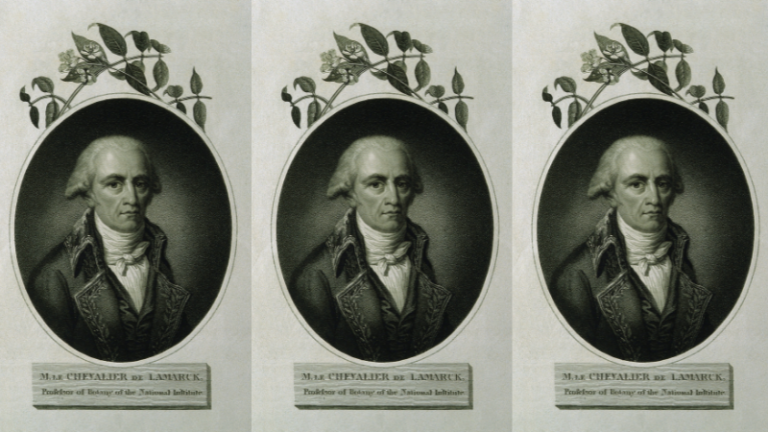 Par un pari, Jean-Baptiste Lamarck a inventé la façon dont on identifie encore les plantes
