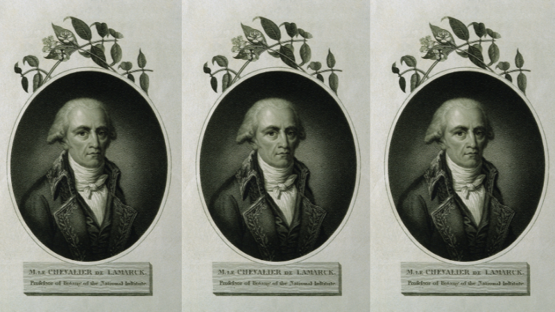 Par un pari, Jean-Baptiste Lamarck a inventé la façon dont on identifie encore les plantes
