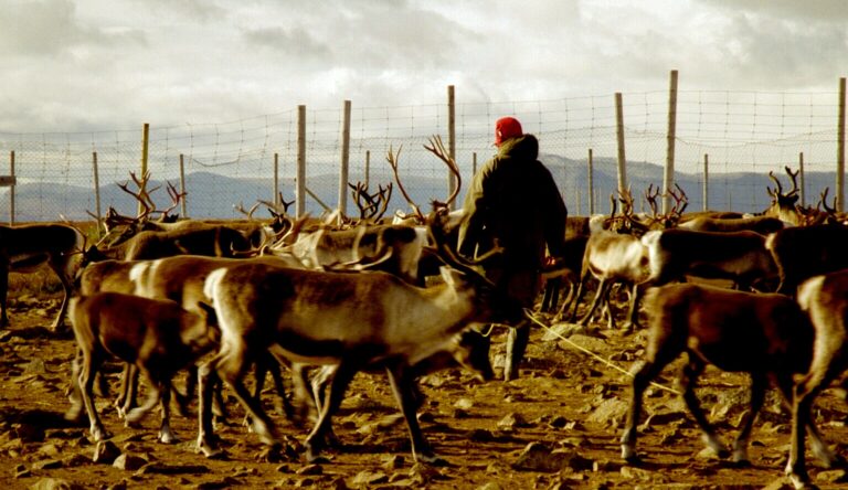 Sur les complexités de la vie autochtone dans un monde implacablement moderne
