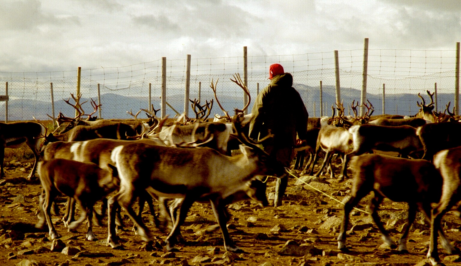 Sur les complexités de la vie autochtone dans un monde implacablement moderne