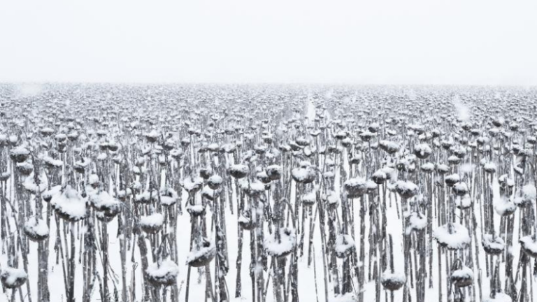 «Cette machine simple», un poème de Daniel Moysaenko
