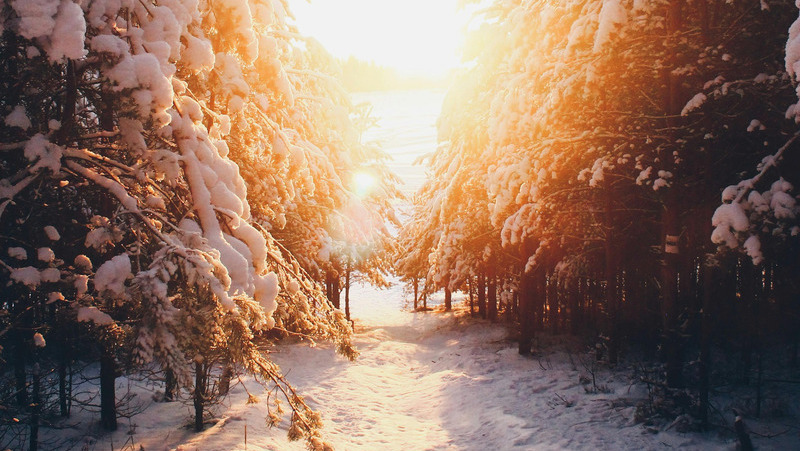 «Marche de fin d'hiver», un poème de Julia Alvarez