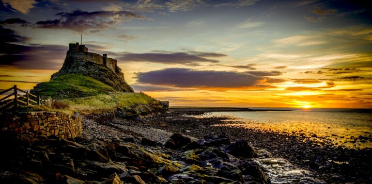 Sur le poème de 1966 qui met en garde contre la disparition bioacoustique et la destruction de nos paysages sonores
