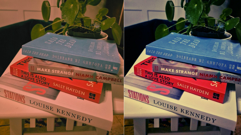 La table de nuit annotée : ce qu'Anne Enright lit maintenant et ensuite