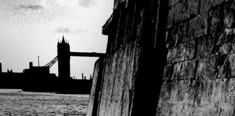 Que devriez-vous lire ensuite ? Voici les livres les mieux évalués de la semaine
