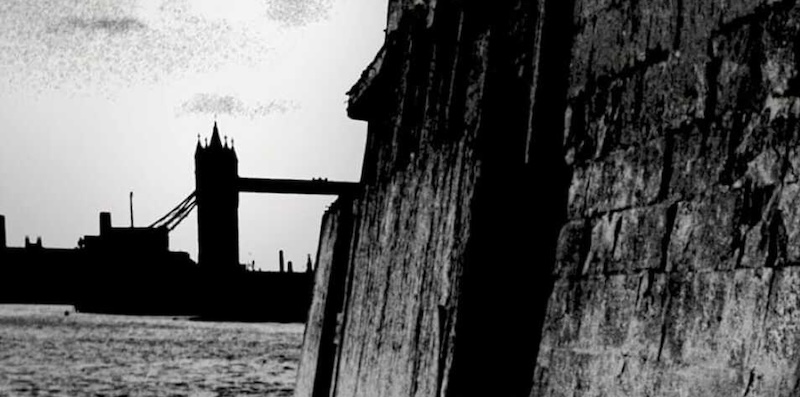 Que devriez-vous lire ensuite ? Voici les livres les mieux évalués de la semaine