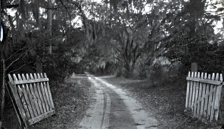 En savoir plus sur les hommes esclaves qui ont creusé les canaux des basses terres de Caroline du Sud
