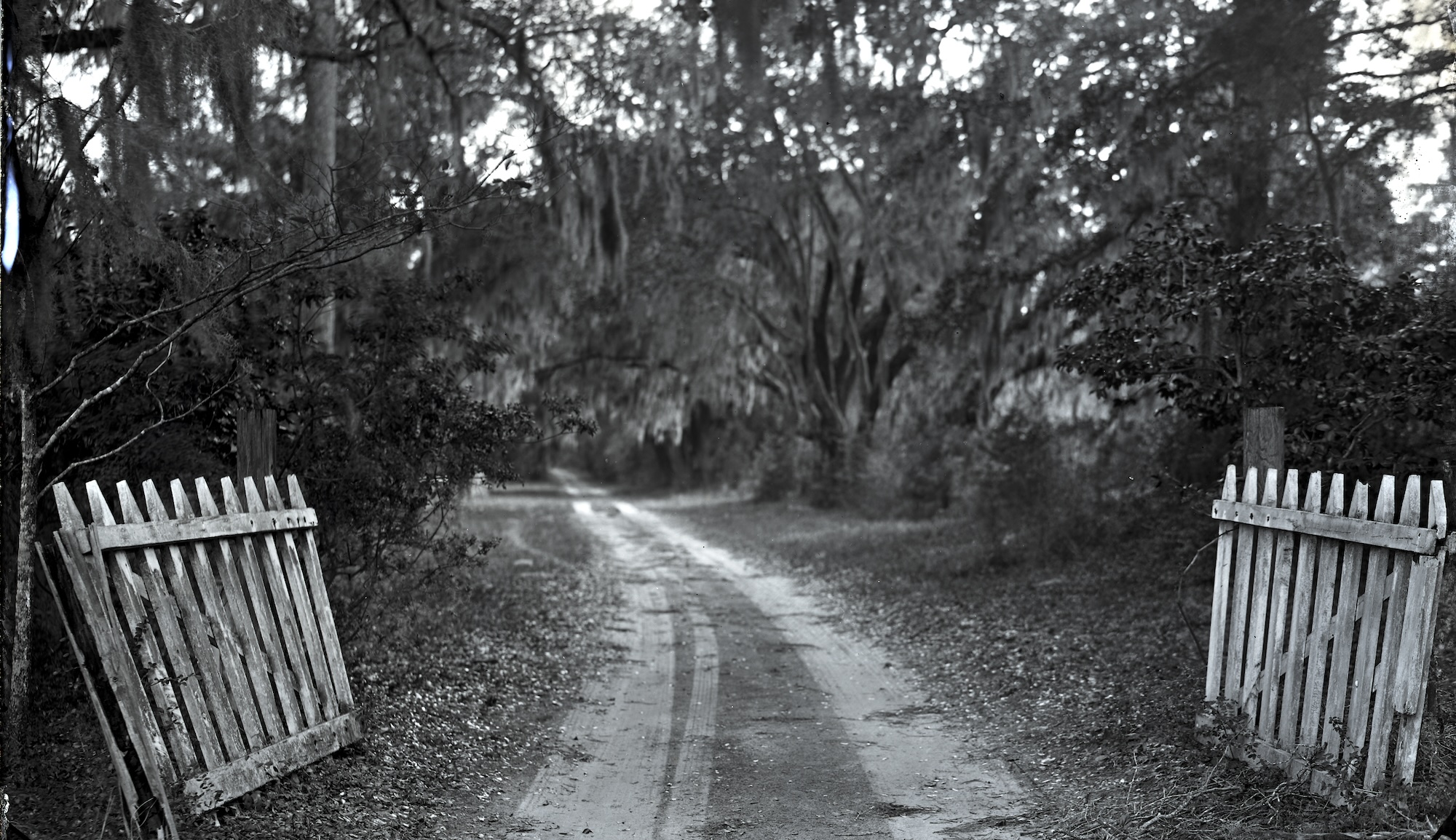 En savoir plus sur les hommes esclaves qui ont creusé les canaux des basses terres de Caroline du Sud