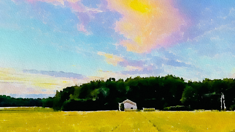 Sur l'écriture des dures vérités de la vie rurale américaine