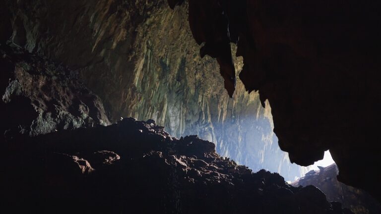 Un grand poème à lire aujourd'hui : « (Toute la nuit, j'entends le bruit de l'eau qui sanglote.) » d'Alejandra Pizarnik.
