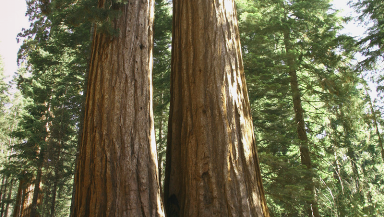 Un poème de Christopher Kondrich
