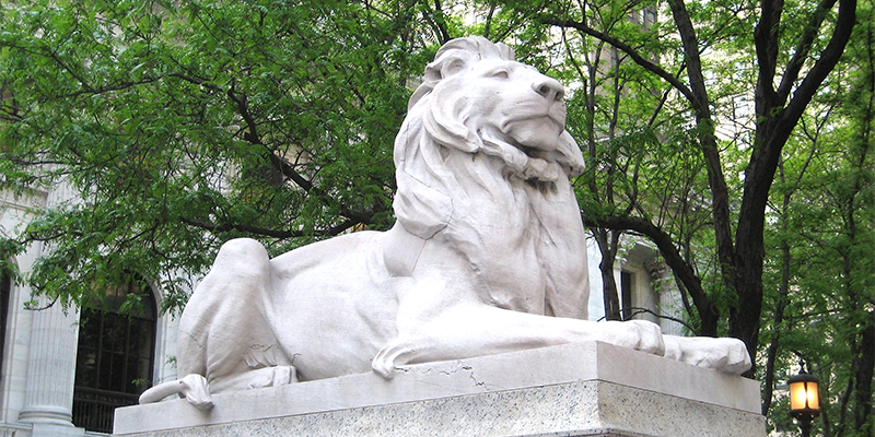 Voici les finalistes du Young Lions Fiction Award 2026 du NYPL.