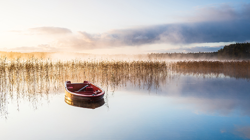 Un excellent poème à lire aujourd'hui : « You Think This Happened Only Once and Long Ago » de Marie Howe