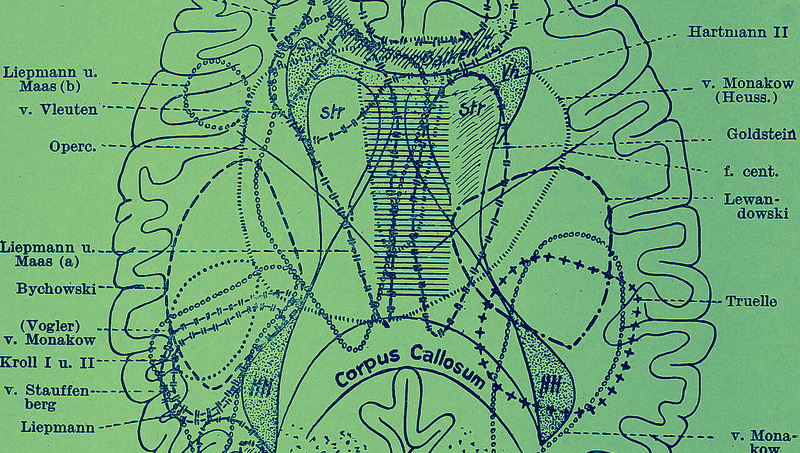 La médicalisation de la folie : comment la schizophrénie a été traitée à travers les âges