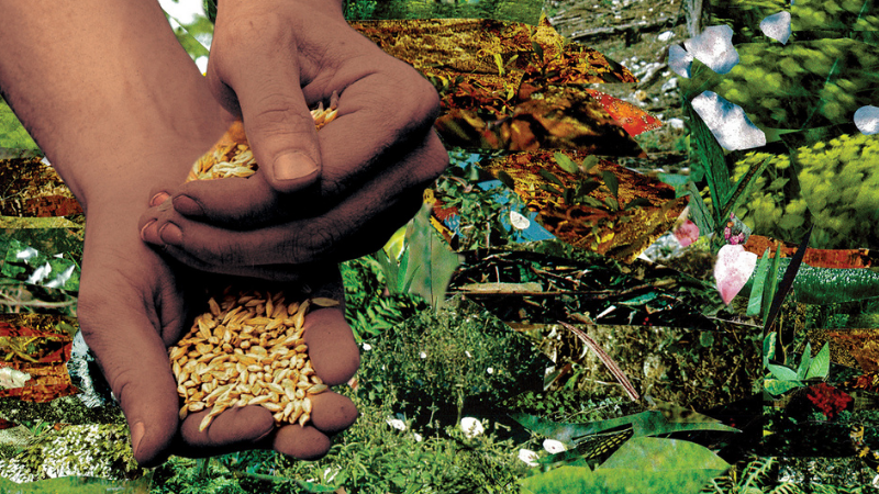 Sur la nécessité urgente de démanteler l’apartheid alimentaire aux États-Unis