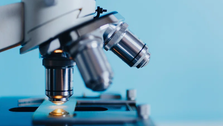 Comment être un scientifique médiocre m'a aidé à devenir un meilleur romancier

