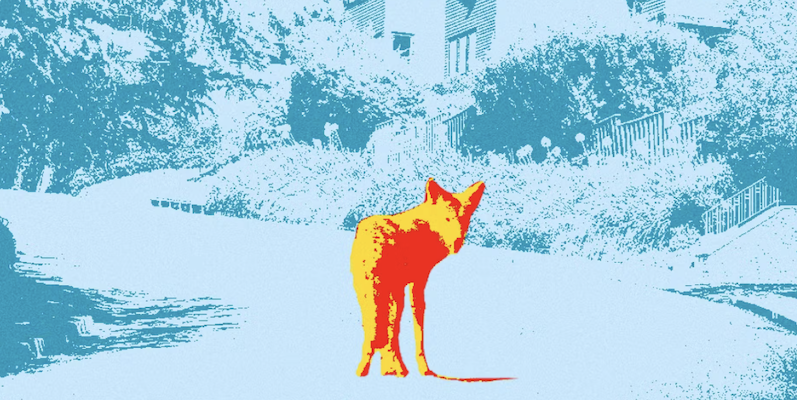 Tove Ditlevsen, Vanessa Hua, Barry Walters et plus : 20 nouveaux livres sortis aujourd'hui !