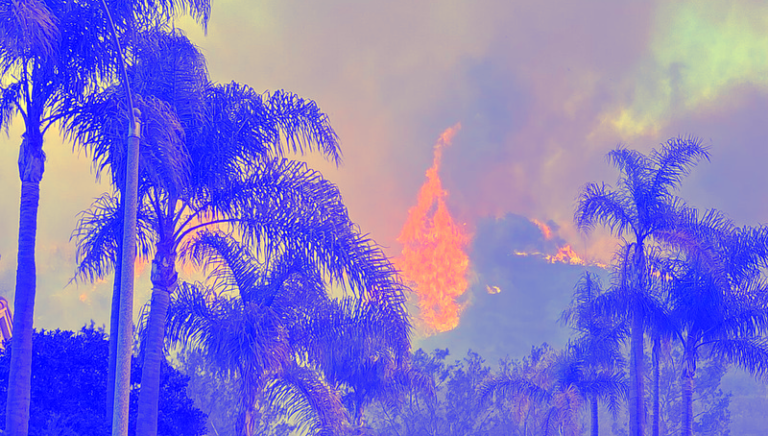 Ce que nous pouvons et devons apprendre de l’incendie des palissades du Pacifique
