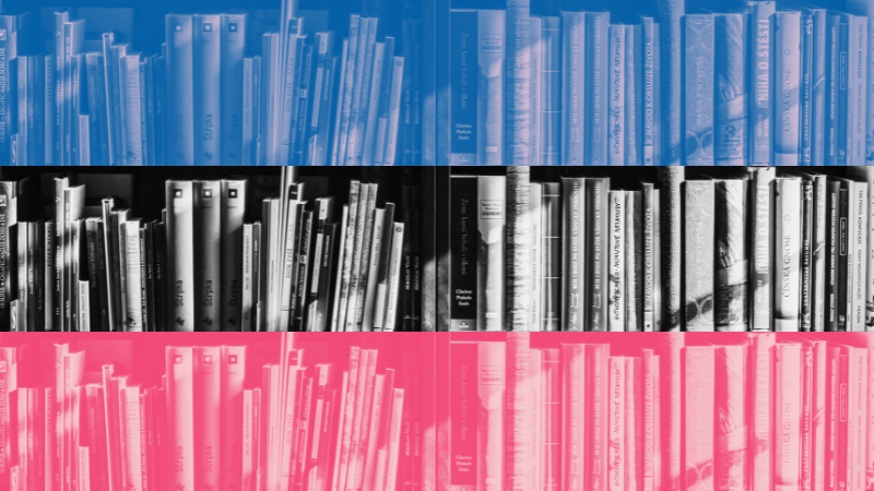 Ce n'est que du porno de torture : un bilan de tentatives infructueuses pour expliquer à quoi sert Trans Lit
