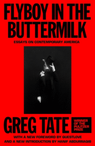Flyboy in the Buttermilk: Essais sur l'Amérique contemporaine Couverture