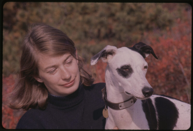Un nouveau documentaire de Mary Oliver capture la vie sauvage et précieuse du poète.