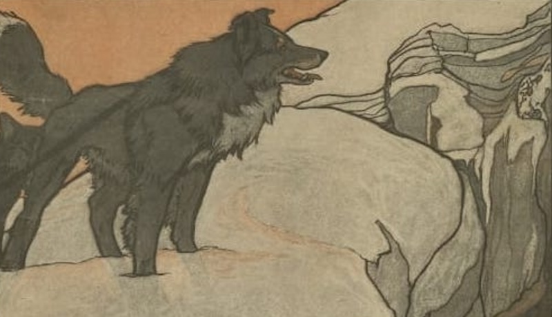 De la poétique de la narration canine