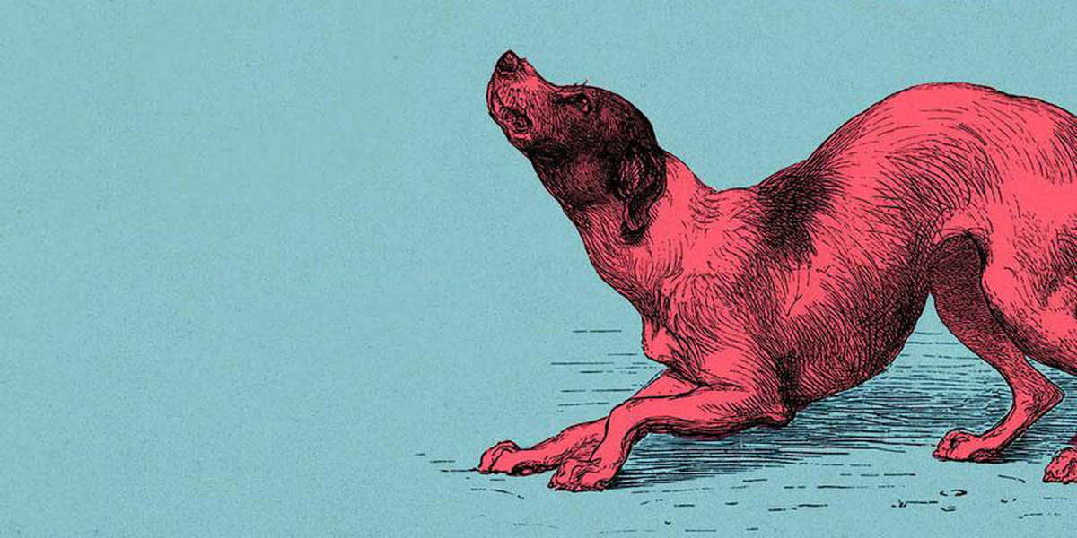 Les 12 meilleures couvertures de livres de septembre