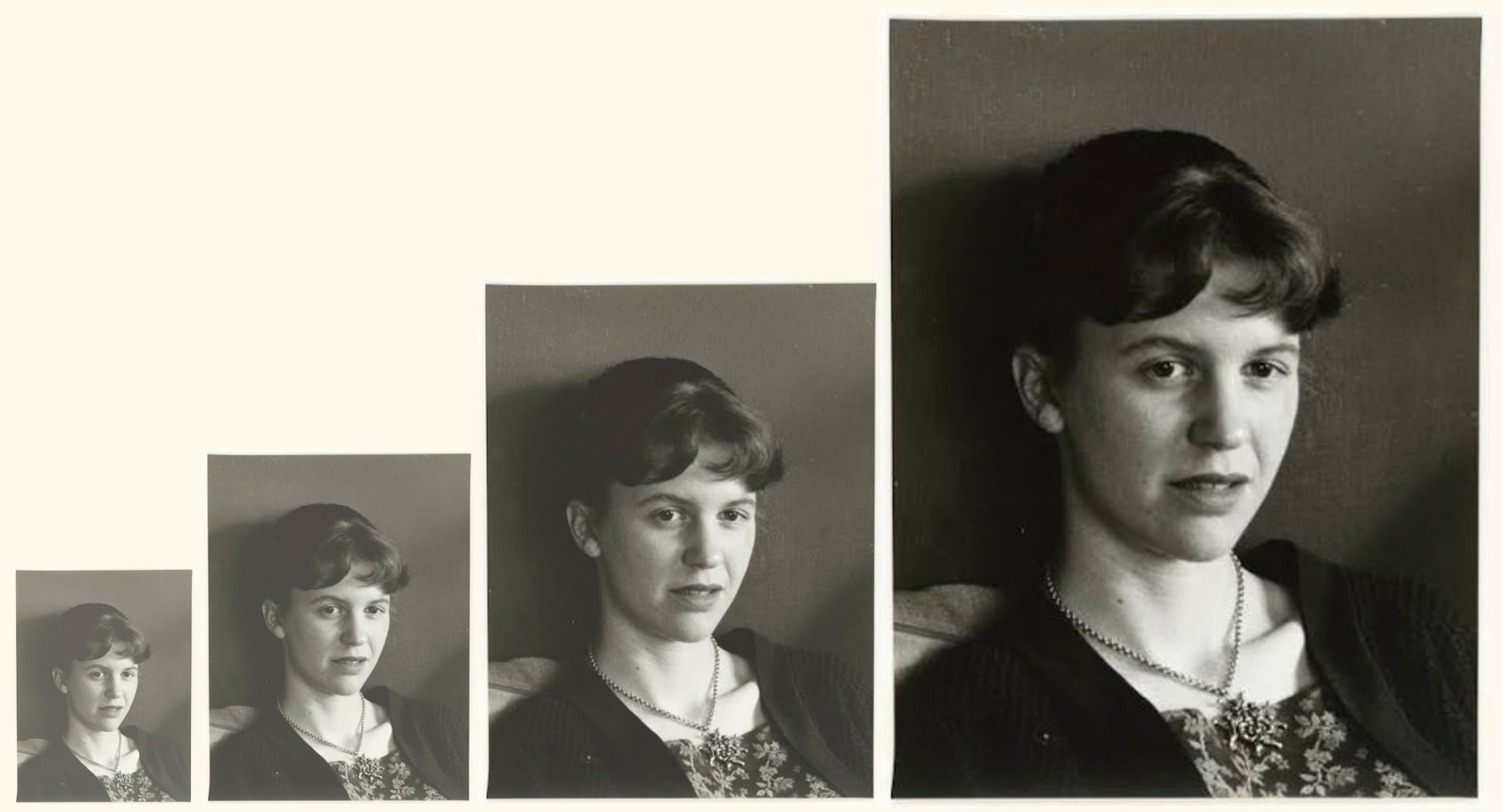 Sur les cycles de vie et de mort au cœur de l'œuvre de Sylvia Plath