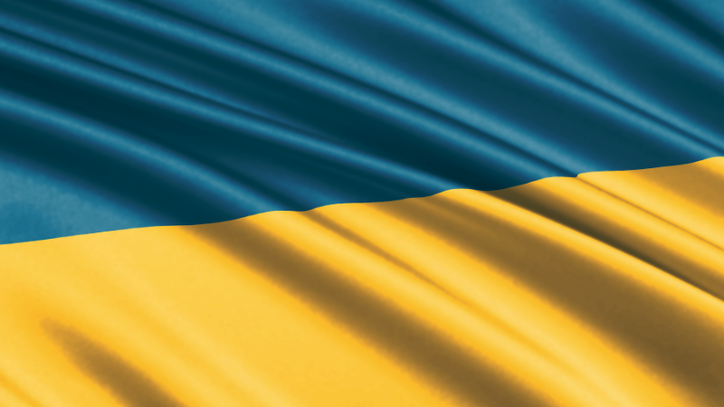 Écrire en temps de guerre : Alexandre Mykhed parle de la perte de livres ukrainiens à cause des bombes russes