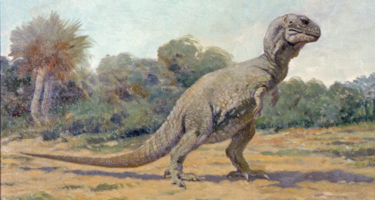 Une journée dans la vie d'un bébé tyrannosaure rex
